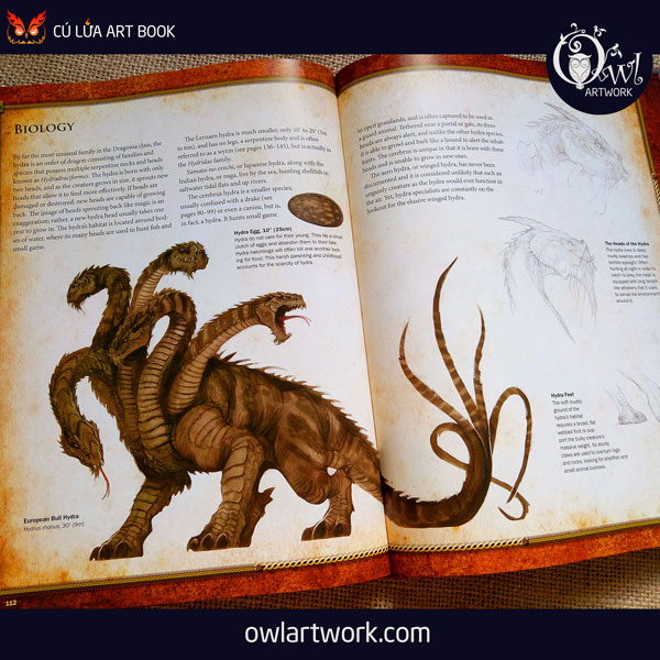 owlartwork-sach-artbook-concept-art-dracopedia-guide-to-drawing-dragons-of-the-world-16
