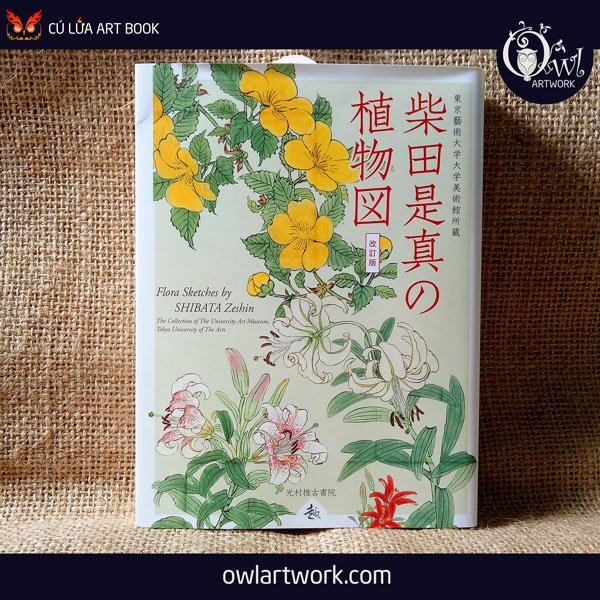 owlartwork-sach-artbook-concept-art-flora-sketches-vang-1