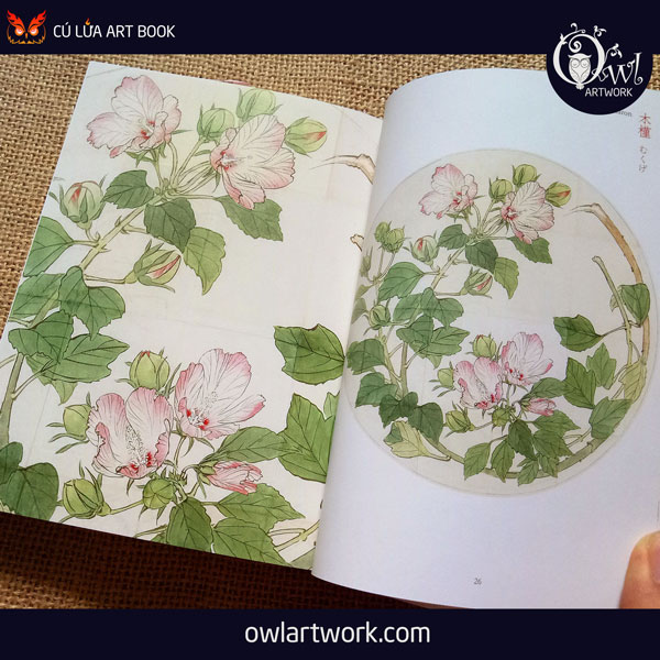 owlartwork-sach-artbook-concept-art-flora-sketches-vang-11