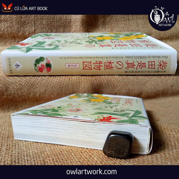 owlartwork-sach-artbook-concept-art-flora-sketches-vang-18