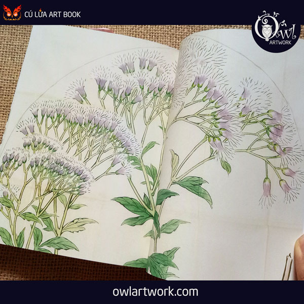 owlartwork-sach-artbook-concept-art-flora-sketches-vang-5