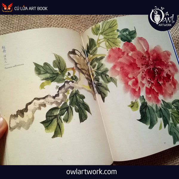 owlartwork-sach-artbook-concept-art-flora-sketches-xanh-10