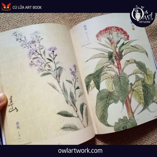 owlartwork-sach-artbook-concept-art-flora-sketches-xanh-13