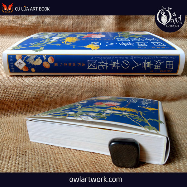 owlartwork-sach-artbook-concept-art-flora-sketches-xanh-18