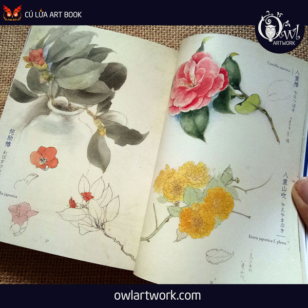 owlartwork-sach-artbook-concept-art-flora-sketches-xanh-4