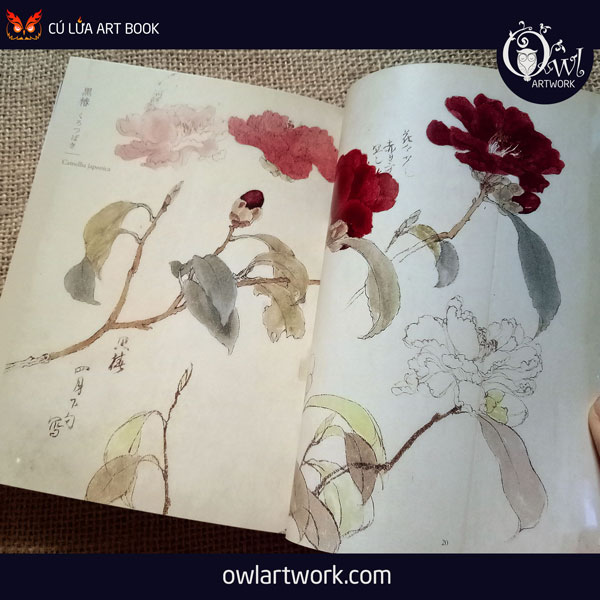 owlartwork-sach-artbook-concept-art-flora-sketches-xanh-6