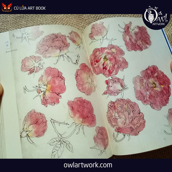 owlartwork-sach-artbook-concept-art-flora-sketches-xanh-9