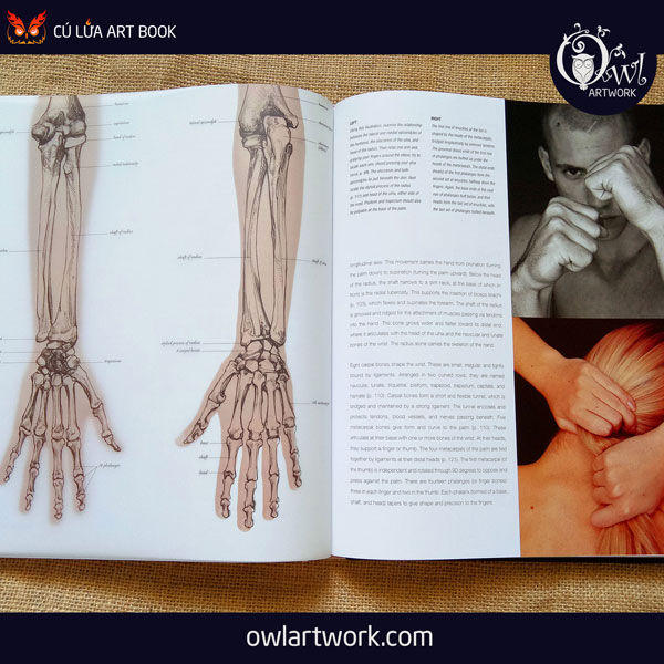 owlartwork-sach-artbook-day-ve-anatomy-artist-12