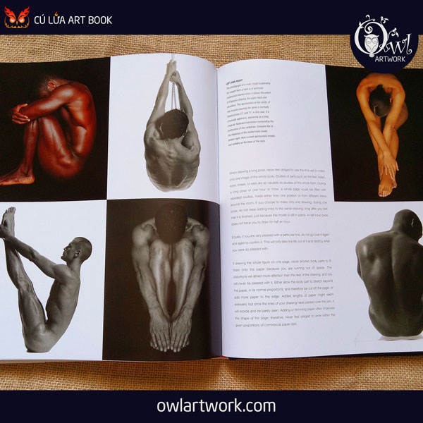 owlartwork-sach-artbook-day-ve-anatomy-artist-16