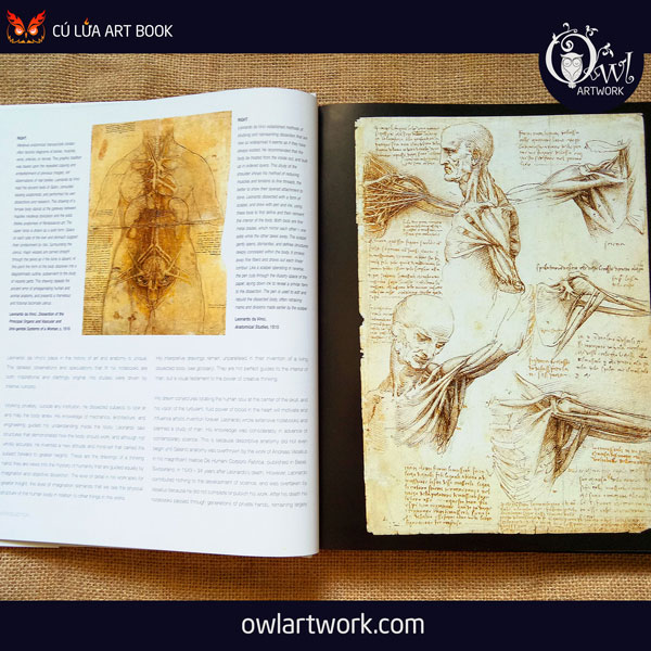 owlartwork-sach-artbook-day-ve-anatomy-artist-3