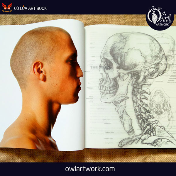 owlartwork-sach-artbook-day-ve-anatomy-artist-6