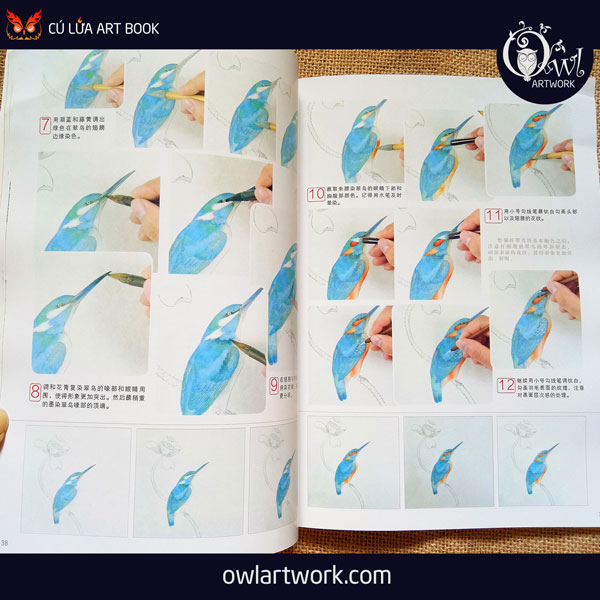 owlartwork-sach-artbook-day-ve-tranh-thuy-mac-chim-muong-3