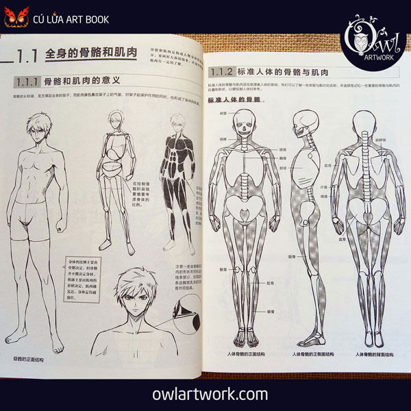 owlartwork-sach-artbook-day-ve-truyen-tranh-pose-chuyen-dong-2