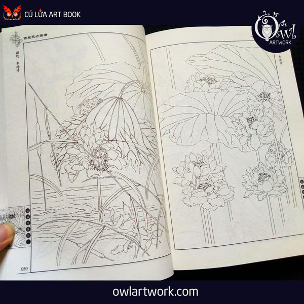 owlartwork-sach-artbook-sketch-phat-thien-nhien-hoa-5
