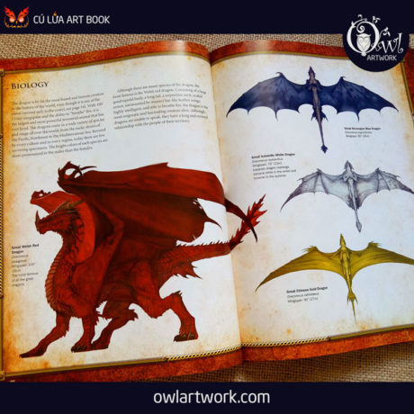 owlartwork-sach-artbook-concept-art-dracopedia-guide-to-drawing-dragons-of-the-world-11