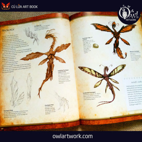 owlartwork-sach-artbook-concept-art-dracopedia-guide-to-drawing-dragons-of-the-world-15