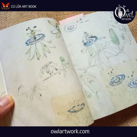 owlartwork-sach-artbook-concept-art-flora-sketches-vang-17