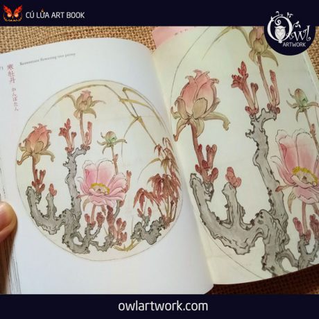 owlartwork-sach-artbook-concept-art-flora-sketches-vang-8
