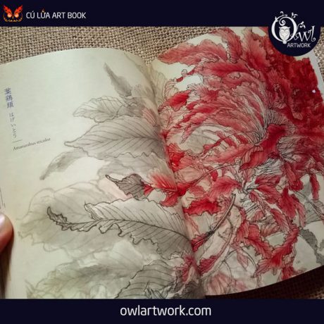 owlartwork-sach-artbook-concept-art-flora-sketches-xanh-2