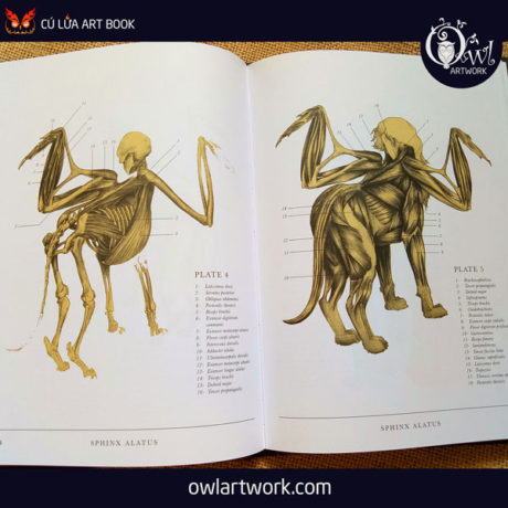 owlartwork-sach-artbook-concept-art-the-recsurrectionist-3