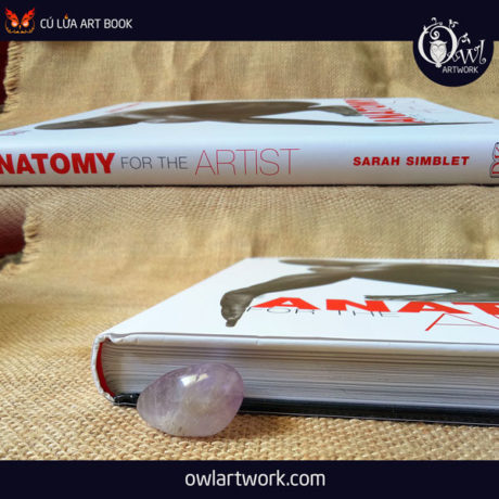 owlartwork-sach-artbook-day-ve-anatomy-artist-18
