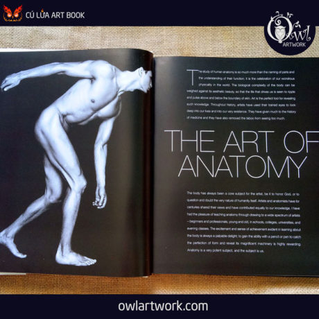 owlartwork-sach-artbook-day-ve-anatomy-artist-2