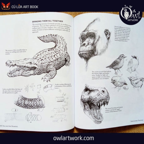 owlartwork-sach-artbook-day-ve-digital-penk-and-ink-drwaing-12