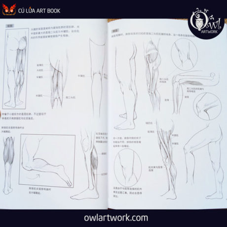 owlartwork-sach-artbook-day-ve-nam-thanh-nien-8