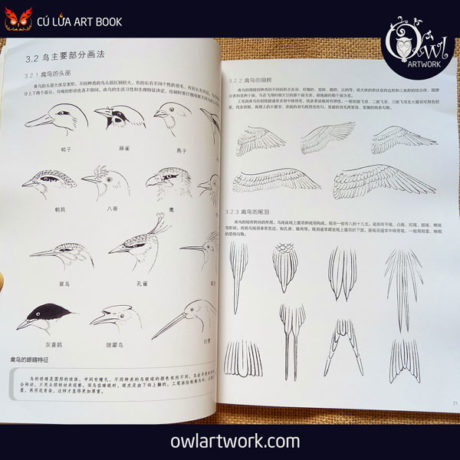 owlartwork-sach-artbook-day-ve-tranh-thuy-mac-chim-muong-4