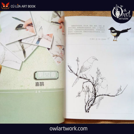owlartwork-sach-artbook-day-ve-tranh-thuy-mac-chim-muong-5