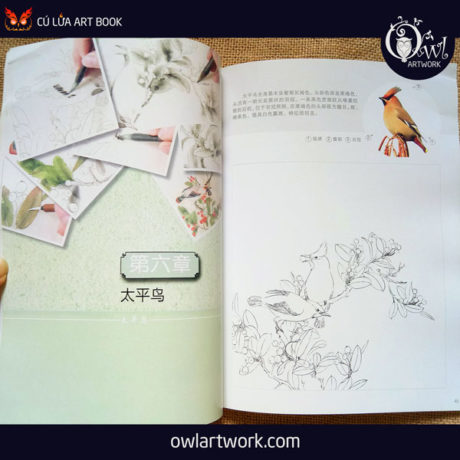 owlartwork-sach-artbook-day-ve-tranh-thuy-mac-chim-muong-8