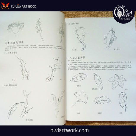 owlartwork-sach-artbook-day-ve-tranh-thuy-mac-thien-nhien-10